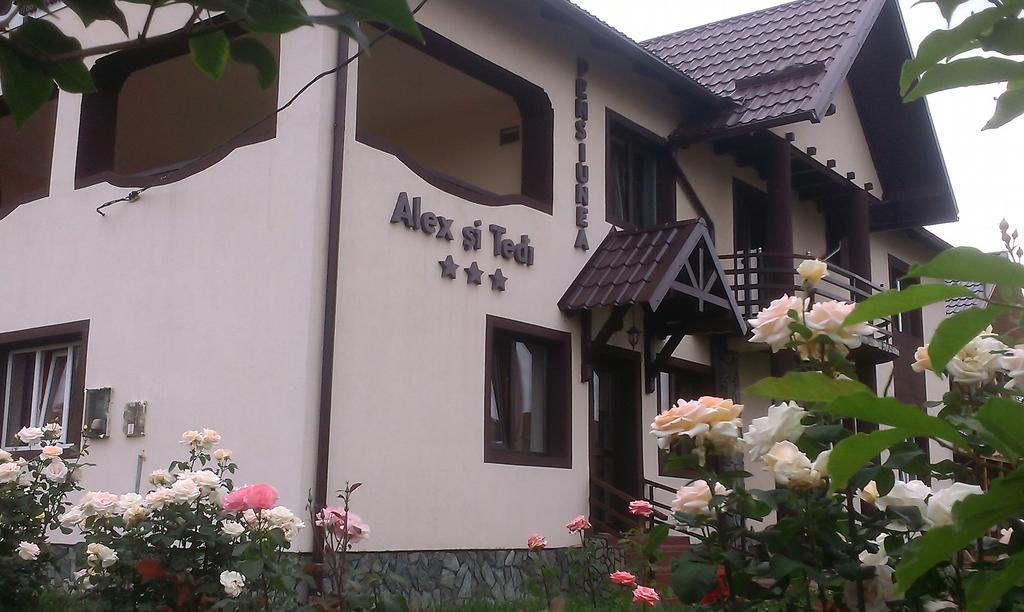 霍雷祖 亚历克斯·泰迪旅馆酒店 外观 照片